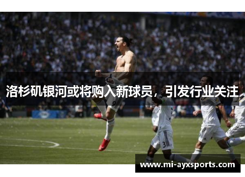 洛杉矶银河或将购入新球员，引发行业关注